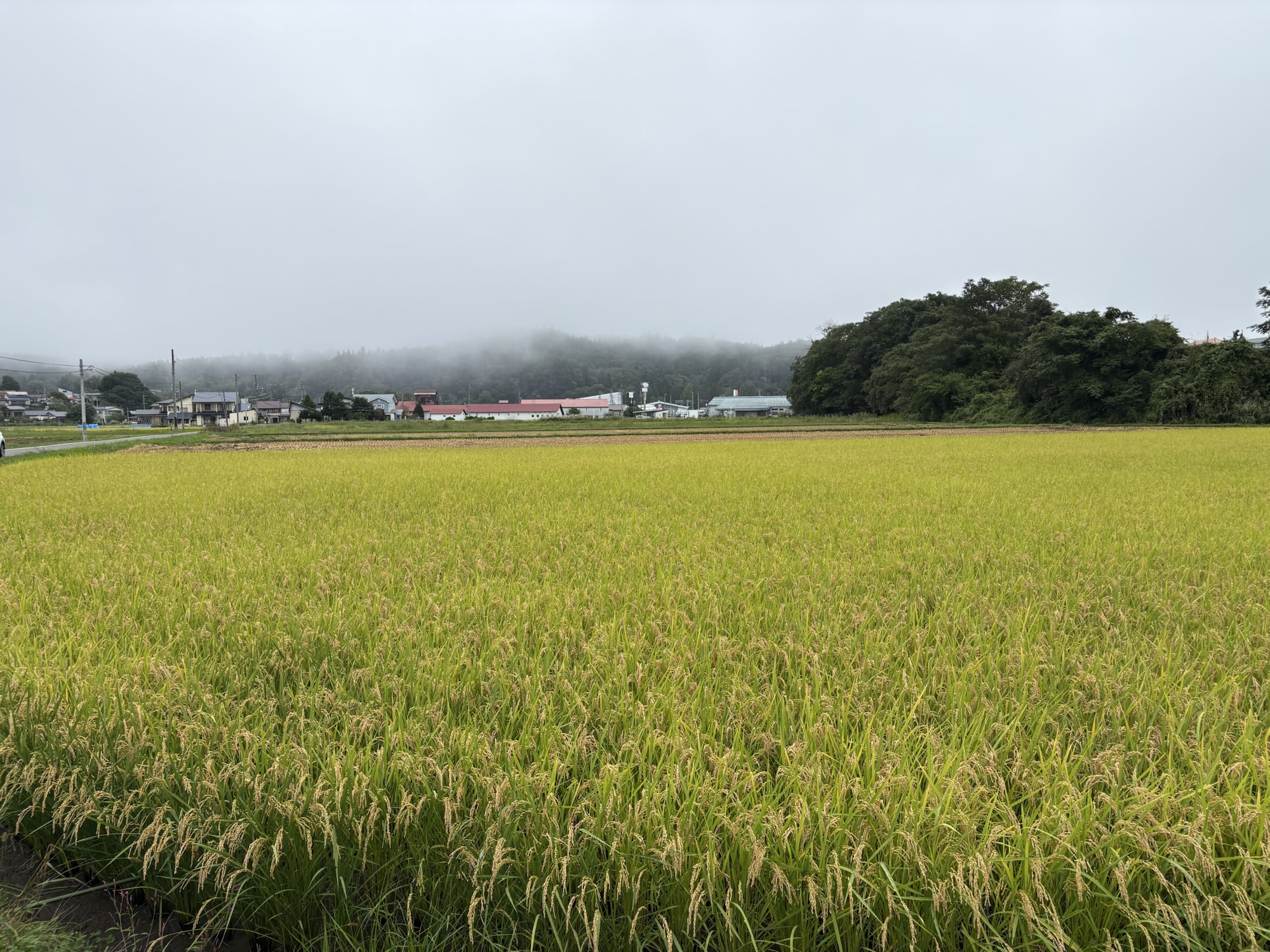 信濃町